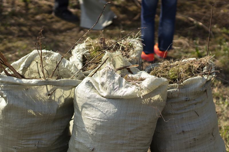 Dirt Removal Service