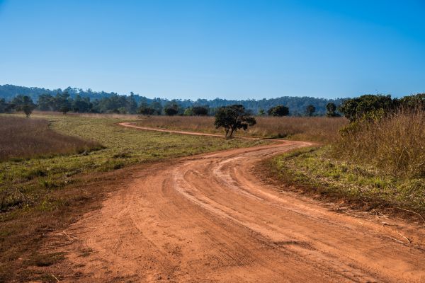 Dirt Driveway Repair in Arroyo Grande