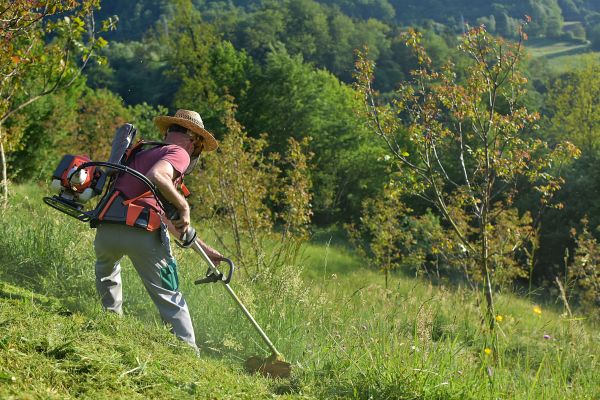 Cost of Slope Trimming in Arroyo Grande